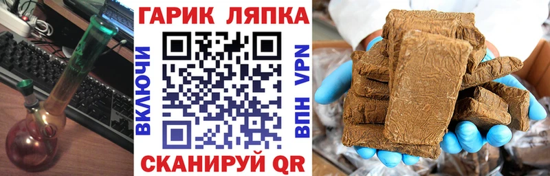 ГАШ Premium Себеж